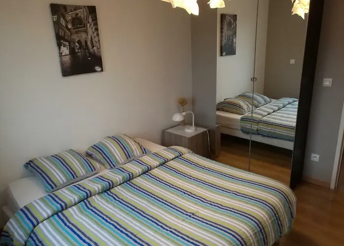 Grand Appartement Proche Chu