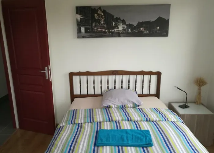 Grand Appartement Proche Chu